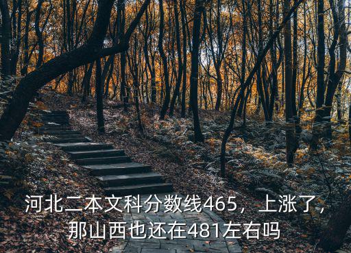 省外二本在河北省分數線是多少,分數線是461