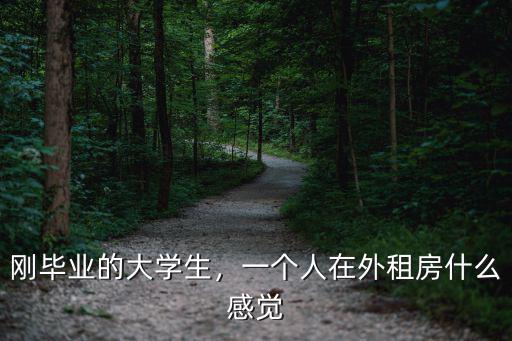 剛畢業的大學生，一個人在外租房什么感覺