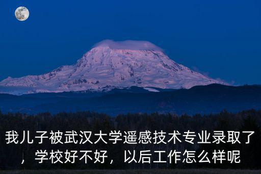 我兒子被武漢大學(xué)遙感技術(shù)專業(yè)錄取了，學(xué)校好不好，以后工作怎么樣呢