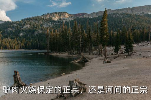 驢肉火燒保定的正宗，還是河間的正宗