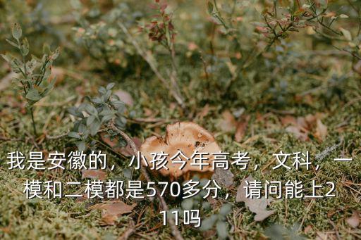 我是安徽的，小孩今年高考，文科，一模和二模都是570多分，請問能上211嗎