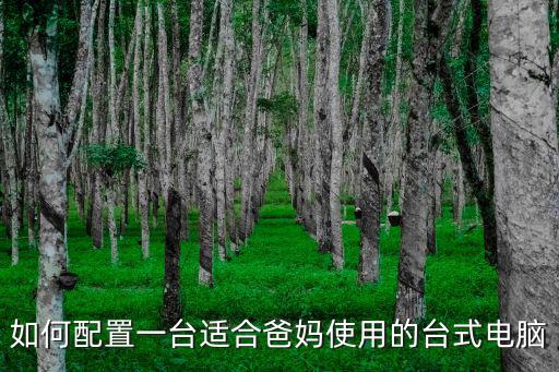 武漢臺(tái)式電腦怎么配置方案,怎么選擇配置