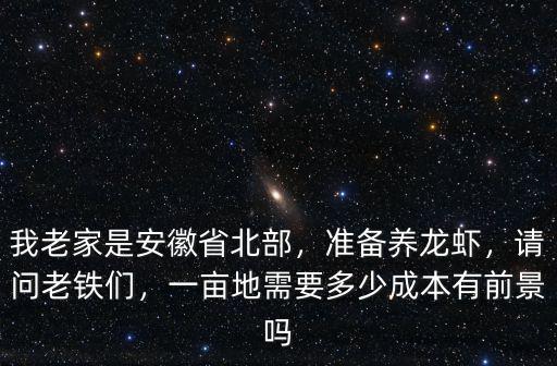 合肥蝦塘多少錢(qián)一畝,一畝親蝦塘產(chǎn)多少蝦苗