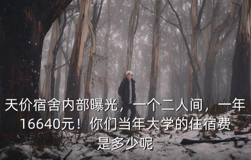 安徽大學宿舍多少錢一年,一年16640元