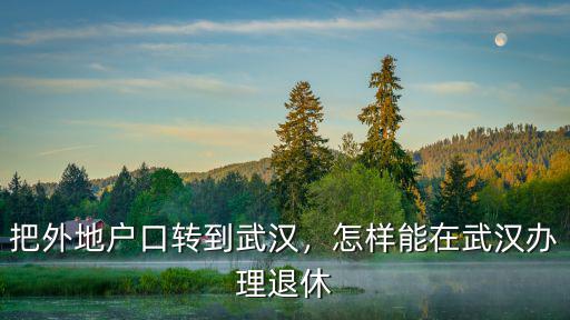 轉到武漢市戶口怎么拿到退休費,把外地戶口轉到武漢