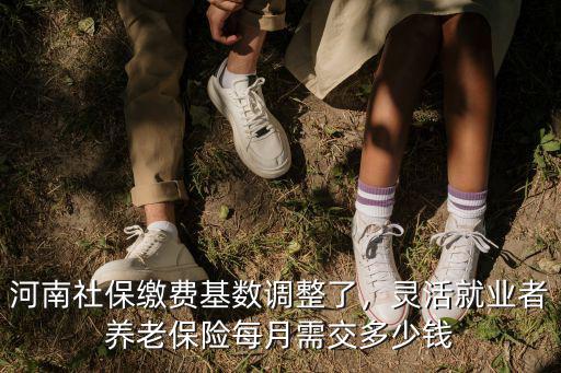 河南省社保平均繳費指數怎么算,河南社保繳費基數調整了