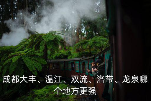 成都大豐、溫江、雙流、洛帶、龍泉哪個(gè)地方更強(qiáng)