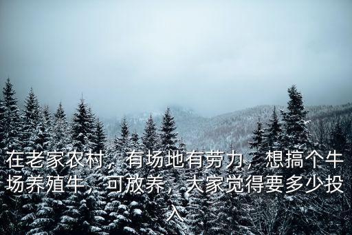 在老家農村，有場地有勞力，想搞個牛場養殖牛，可放養，大家覺得要多少投入