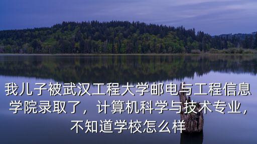 我兒子被武漢工程大學郵電與工程信息學院錄取了，計算機科學與技術專業，不知道學校怎么樣