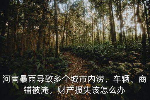 鄭州市暴雨的財(cái)產(chǎn)損失怎么辦,財(cái)產(chǎn)損失該怎么辦