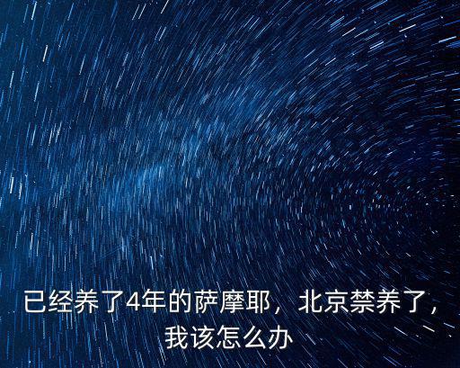 已經(jīng)養(yǎng)了4年的薩摩耶，北京禁養(yǎng)了，我該怎么辦