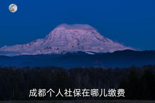 成都個(gè)人社保在哪兒繳費(fèi)