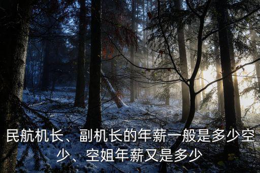 合肥空姐工資一般多少,空姐一般工資有多少