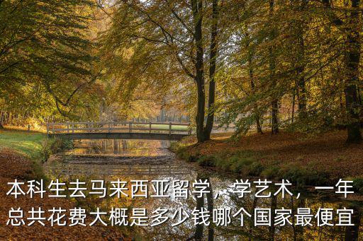 本科生去馬來西亞留學(xué)，學(xué)藝術(shù)，一年總共花費(fèi)大概是多少錢哪個(gè)國(guó)家最便宜