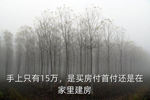 手上只有15萬，是買房付首付還是在家里建房