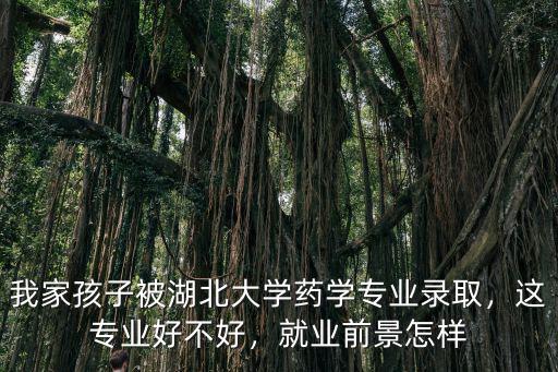 湖北天問專業怎么樣,這個專業怎么樣