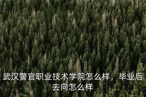 武漢警官職業技術學院怎么樣，畢業后去向怎么樣
