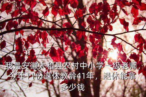 我是安徽太和縣農(nóng)村中小學(xué)一級老師，今年11份退休教齡41年，退休能拿多少錢