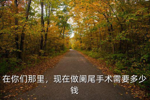 合肥一級醫院做闌尾炎手術多少錢,現在做闌尾手術需要多少錢
