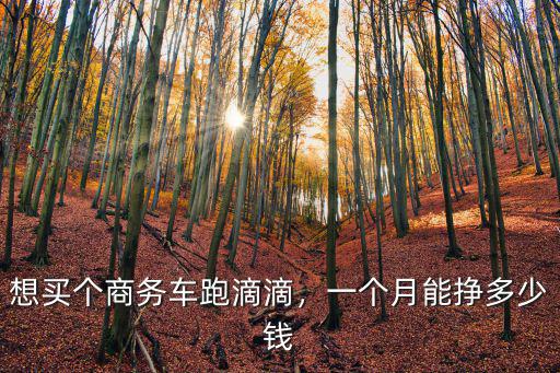 淮南跑滴滴一單多少錢一個月多少錢,想買個商務車跑滴滴