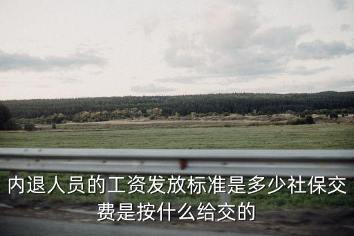 保定化纖職工內退工資是多少,企業內退職工