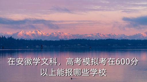 安徽文科平時模考在450高考能考多少,在安徽學(xué)文科