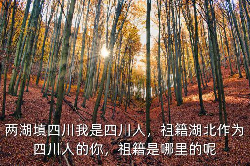 賴美惠祖籍是四川哪里人,兩湖填四川。我是四川人