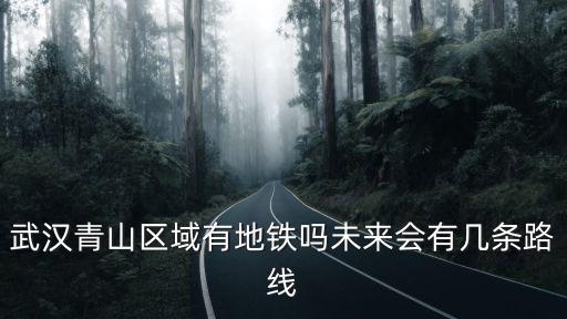 武漢青山地鐵修得怎么樣了,武漢青山區域有地鐵嗎