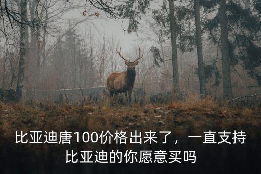 比亞迪唐100價格出來了，一直支持比亞迪的你愿意買嗎