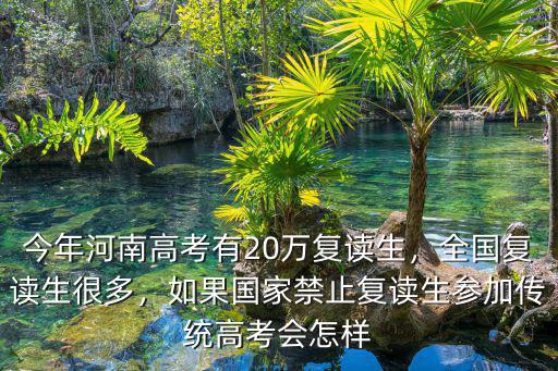 2020年河南高三復讀生有多少,今年河南高考有20萬復讀生