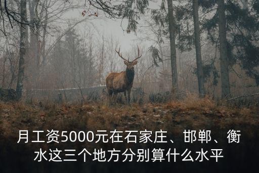 石家莊收入多少算小康,收入多少算是中產(chǎn)