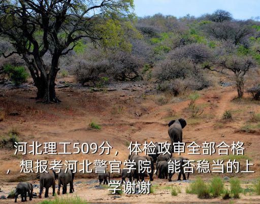 河北警校2019的多少分,河北理工509分