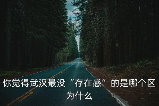 你覺得武漢最沒“存在感”的是哪個區(qū)為什么