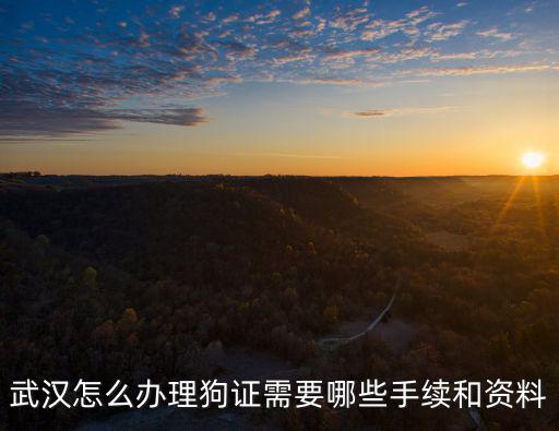 武漢怎么辦理狗證需要哪些手續和資料