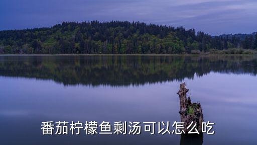 番茄檸檬魚剩湯可以怎么吃