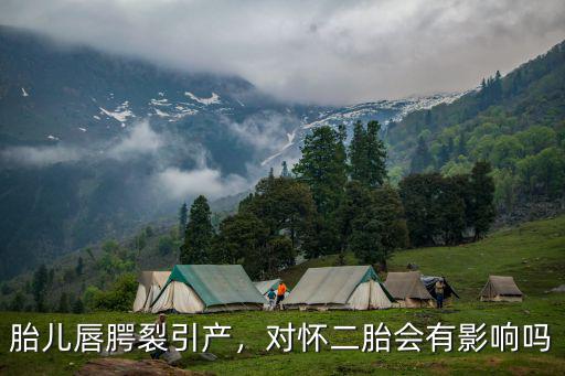 滄州有多少唇裂胎兒引產(chǎn),胎兒唇腭裂引產(chǎn)