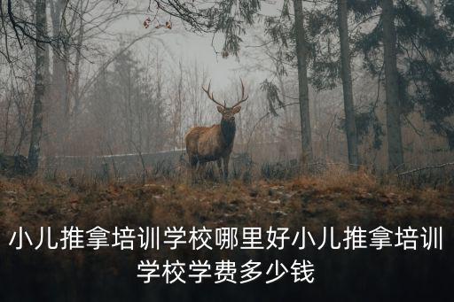 衡水哆來咪小兒推拿推拿一次多少錢,小兒推拿培訓多少錢