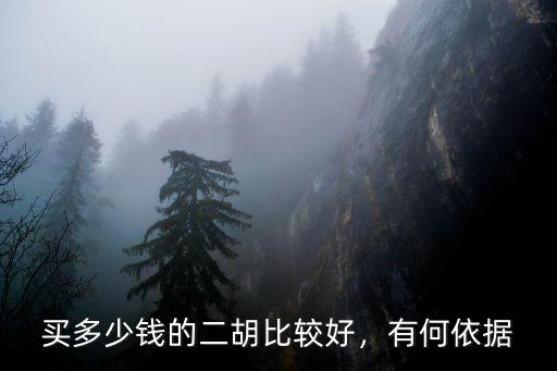 銅陵二胡多少錢,好的二胡多少錢一把