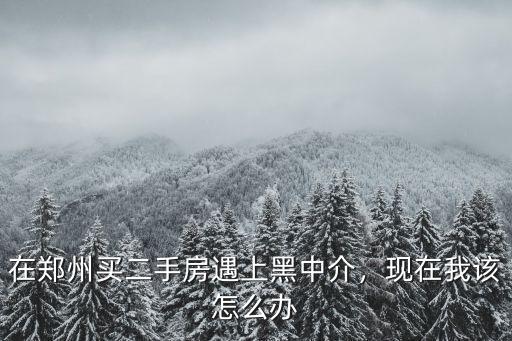 鄭州二手房中介日子怎么樣,在鄭州買二手房遇上黑中介