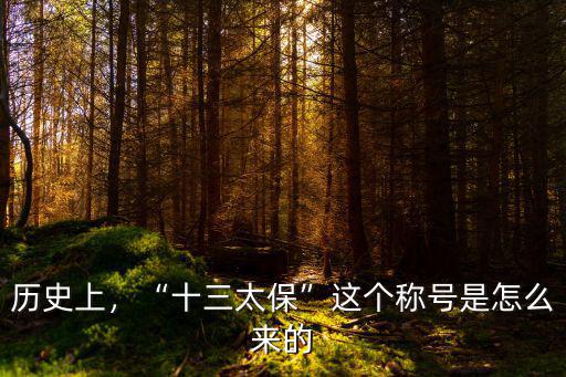 安陽縣十三太保是怎么回事,十三太保是什么