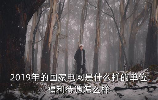 湖北 國家電網待遇怎么樣,福利待遇怎么樣