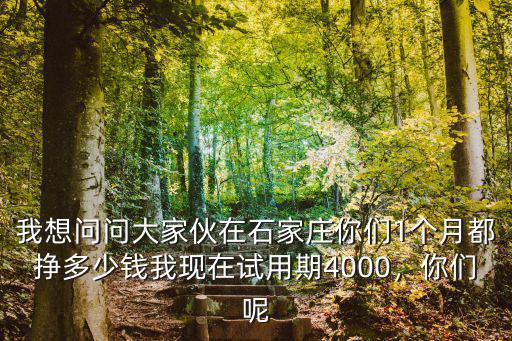 我想問問大家伙在石家莊你們1個月都掙多少錢我現(xiàn)在試用期4000，你們呢