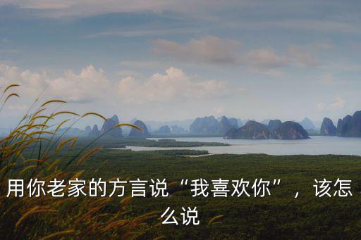 咸寧話我喜歡你怎么說,各地方言的我喜歡你怎么說