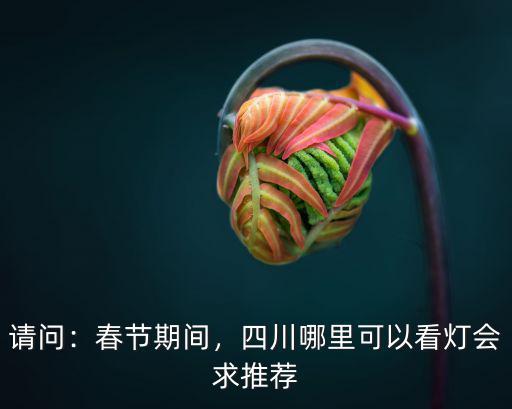 成都元宵燈會(huì)哪里最好看,成都哪里的夜景最漂亮
