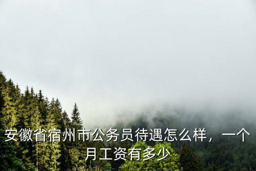 安徽鄉(xiāng)鎮(zhèn)公務(wù)員實發(fā)手里多少工資,公務(wù)員的工資到底是多少