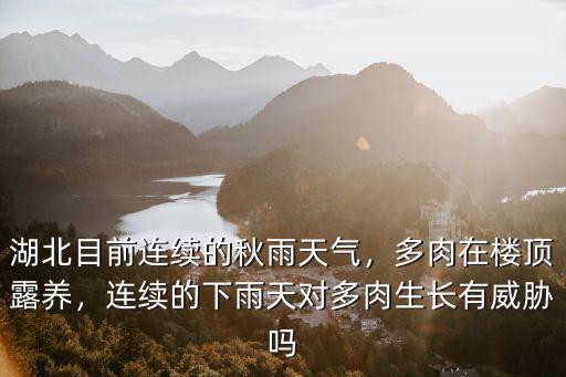武漢的天氣怎么養多肉,湖北目前連續的秋雨天氣