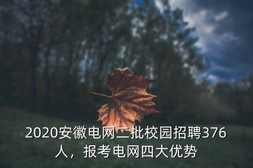 2020安徽電網二批校園招聘376人，報考電網四大優勢