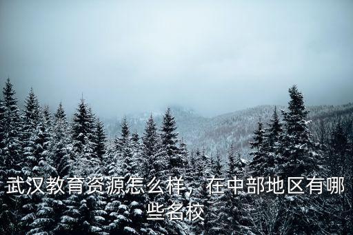 武漢余家頭片區教育資源怎么樣,武漢教育資源怎么樣