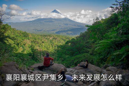 襄陽尹集陽光玫瑰怎么采摘,襄陽襄城區尹集鄉