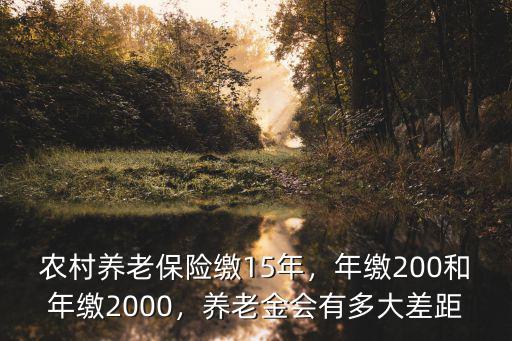 農村養老保險繳15年，年繳200和年繳2000，養老金會有多大差距